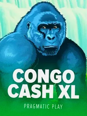 Congo Cash XL at Bof